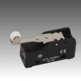 Microswitch