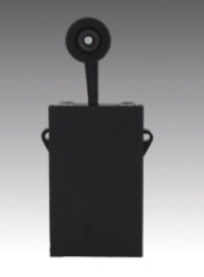Commutatori SILVER SWITCH FORSID-MONITOR